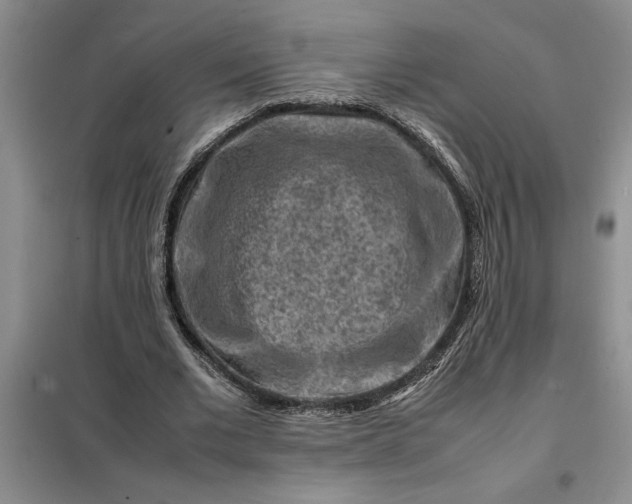 X0000098160677200805011431
