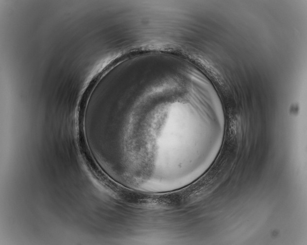 X0000098160678200805011431