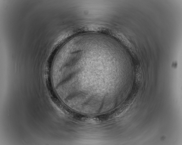X0000098160683200805011431