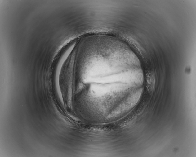 X0000098160684200805011431
