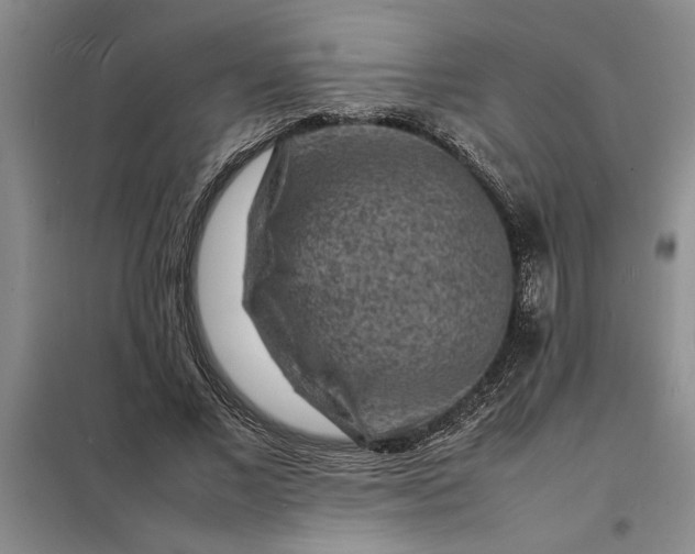 X0000098160685200805011431
