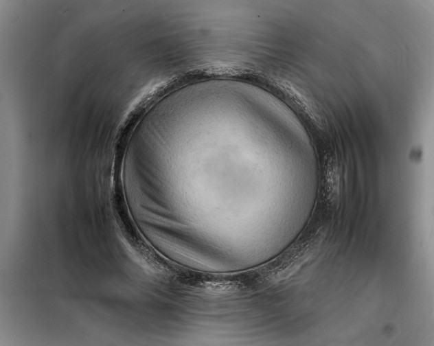 X0000098160686200805011431