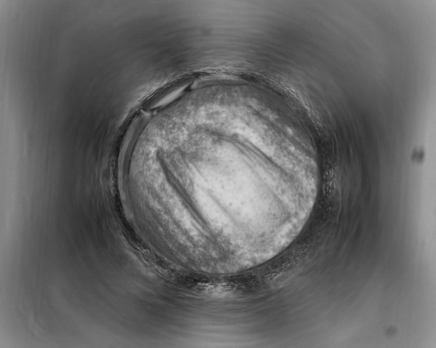 X0000098160688200805011431