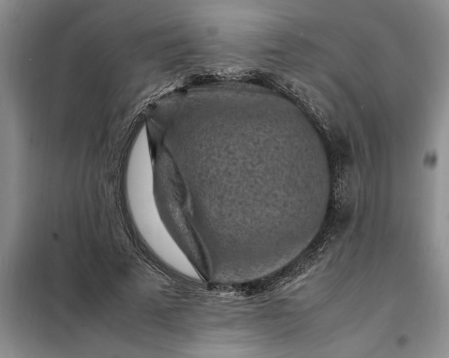 X0000098160689200805011431