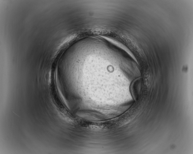 X0000098160690200805011431