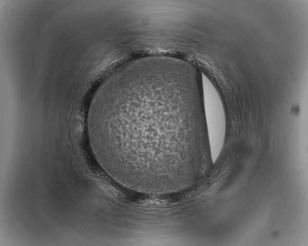 X0000098160691200805011431