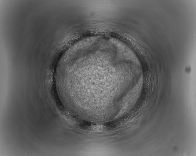 X0000098160695200805011431