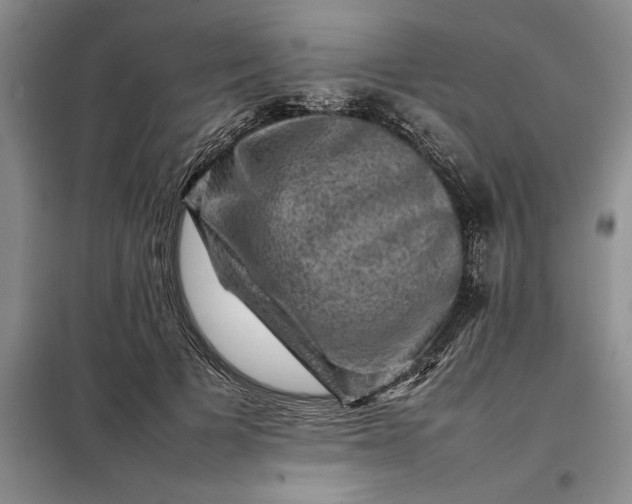 X0000098160697200805011431