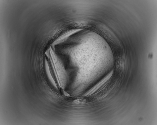 X0000098160700200805011431