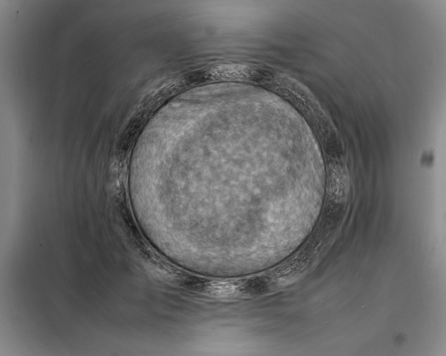 X0000098160701200805011431
