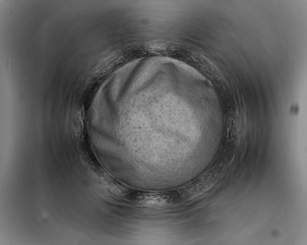 X0000098160702200805011431