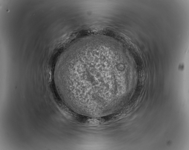 X0000098160703200805011431