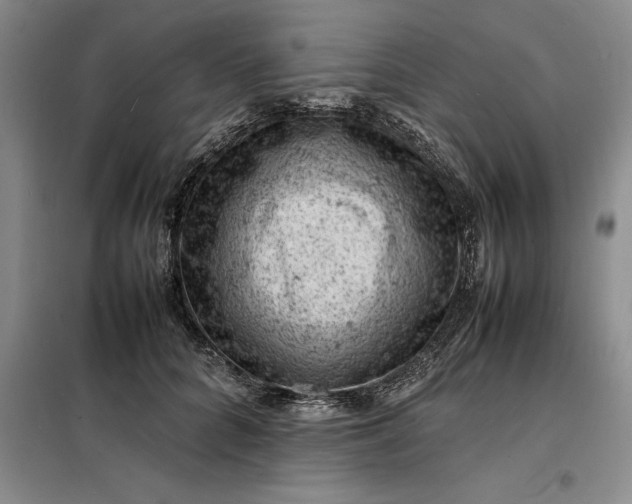 X0000098160704200805011431
