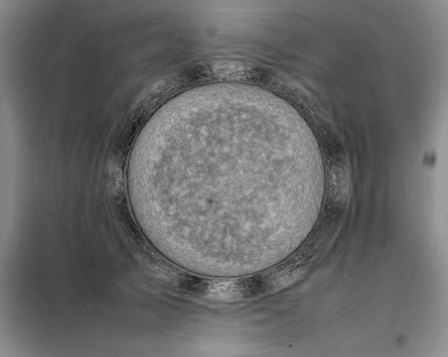 X0000098160705200805011431