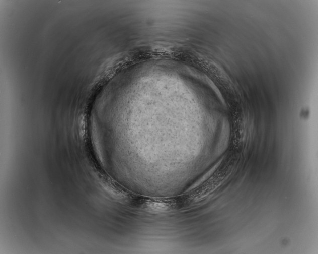 X0000098160706200805011431