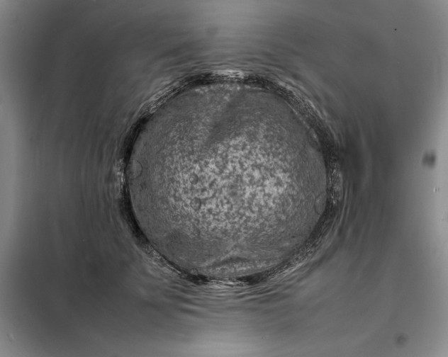 X0000098160707200805011431