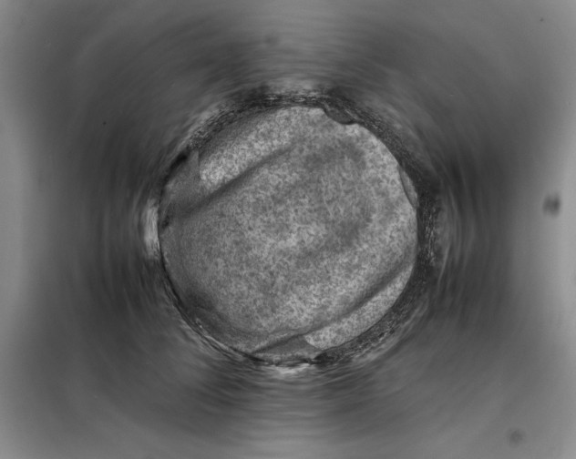 X0000098160708200805011431