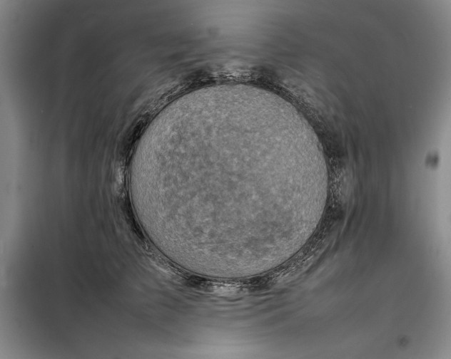 X0000098160709200805011431