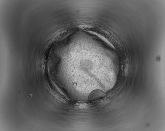 X0000098160710200805011431