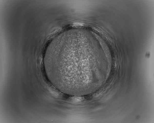 X0000098160711200805011431