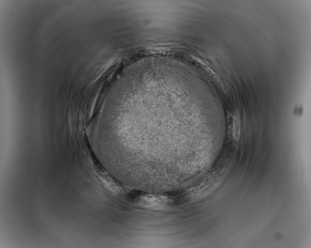 X0000098160712200805011431