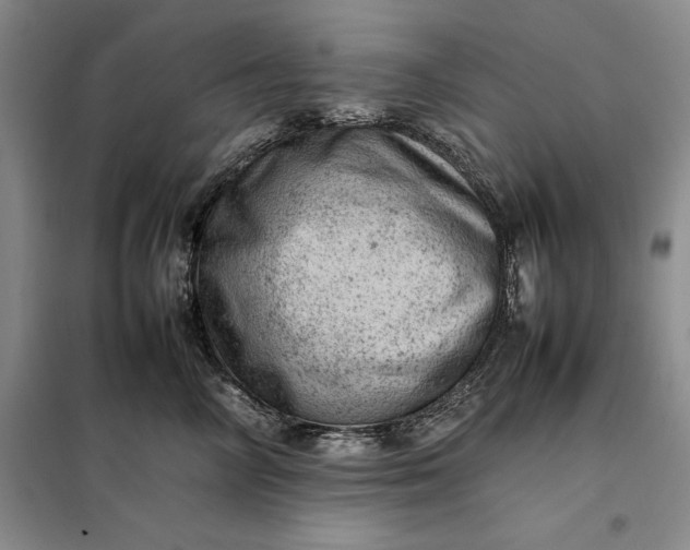 X0000098160714200805011431