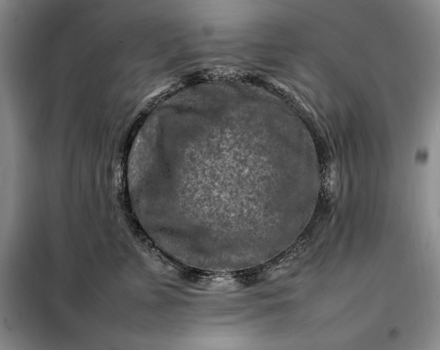 X0000098160715200805011430