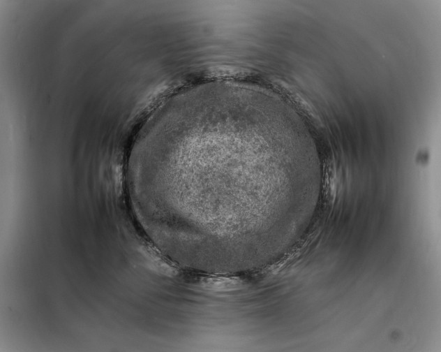 X0000098160716200805011430