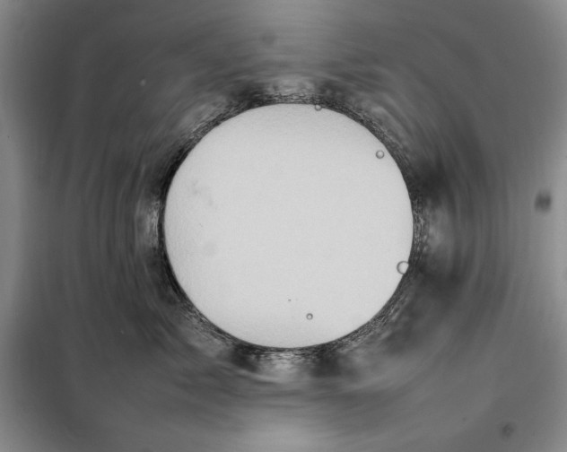 X0000098160717200805011430