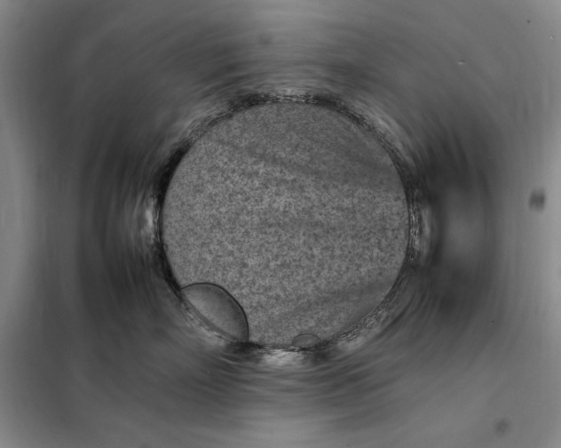 X0000098160718200805011430