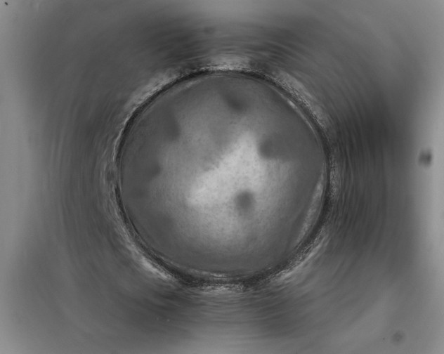 X0000098160721200805011430
