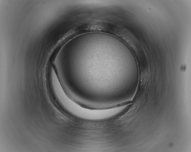 X0000098160722200805011430