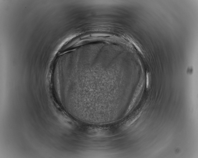 X0000098160723200805011430