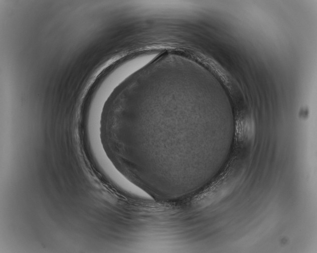 X0000098160724200805011430