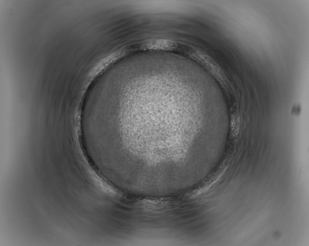 X0000098160725200805011430