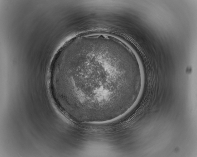 X0000098160726200805011430