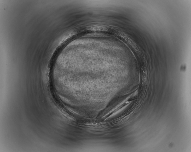 X0000098160727200805011430