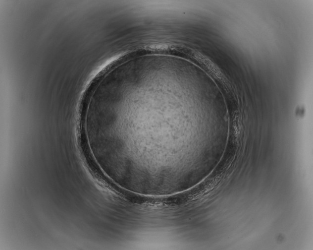 X0000098160728200805011430