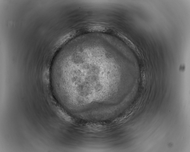 X0000098160729200805011430