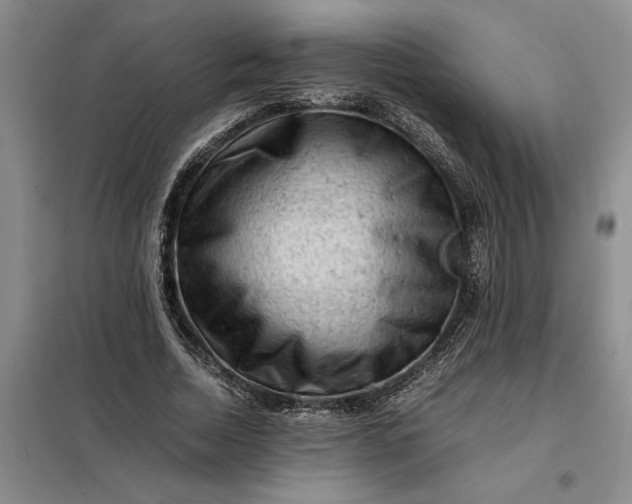 X0000098160730200805011430