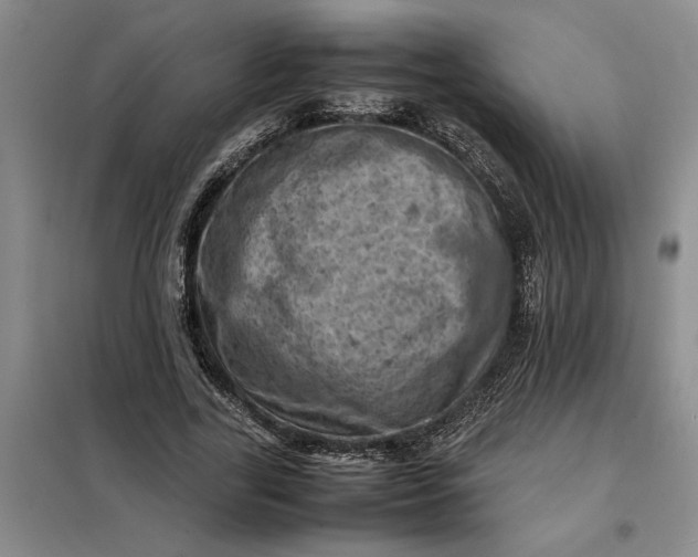 X0000098160731200805011430