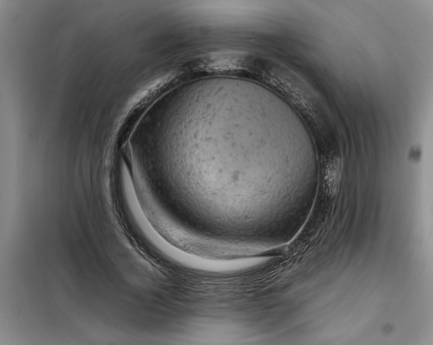 X0000098160732200805011430