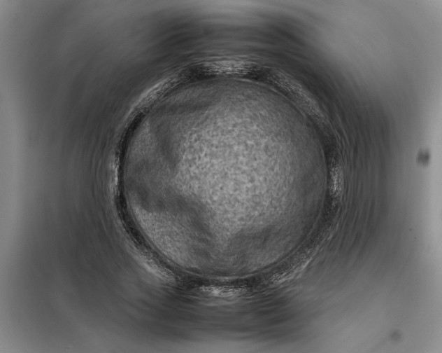 X0000098160733200805011430