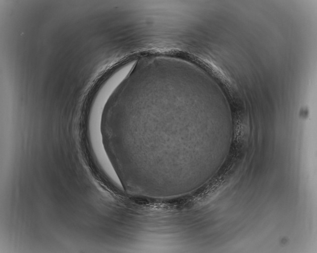 X0000098160736200805011430