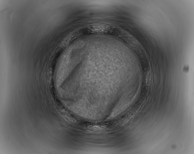 X0000098160737200805011430