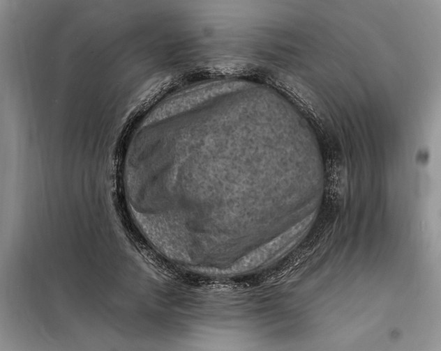 X0000098160738200805011430