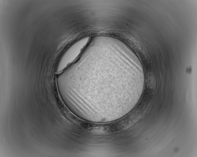 X0000098160740200805011430
