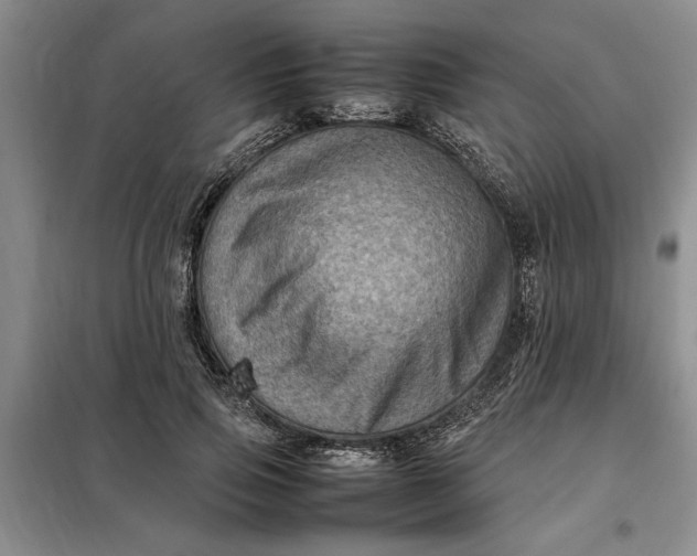 X0000098160741200805011430