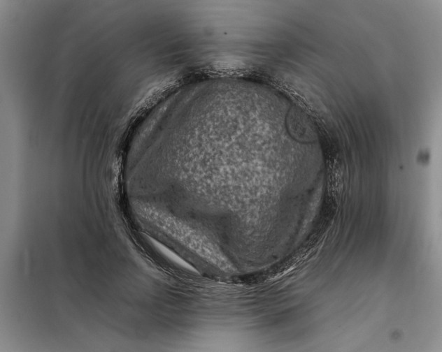 X0000098160742200805011430