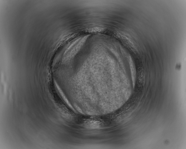 X0000098160743200805011430